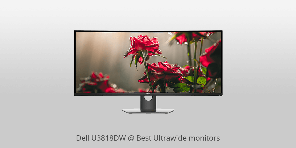 best ultrawide monitor for working