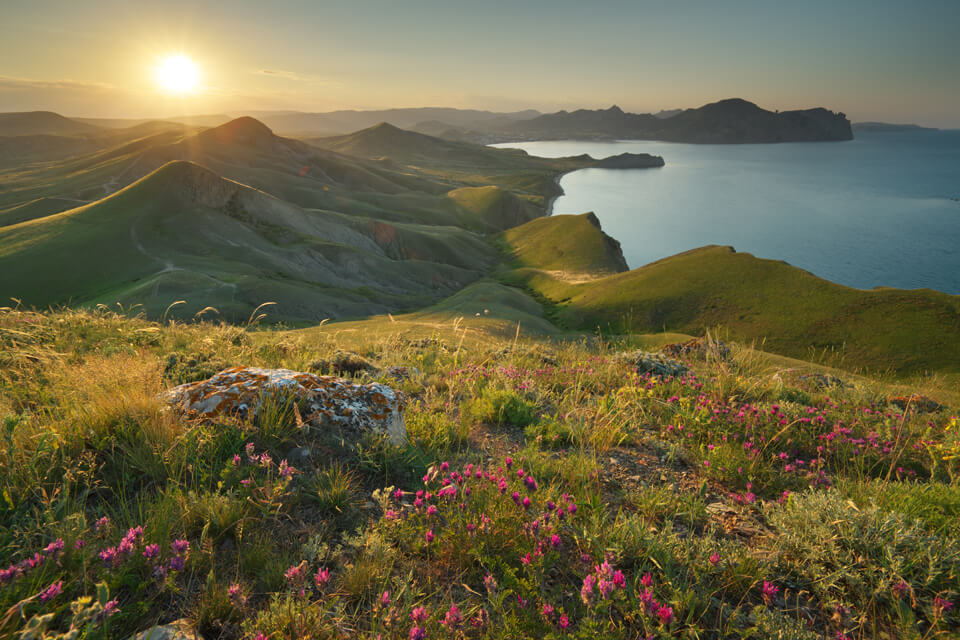 landscape lens example