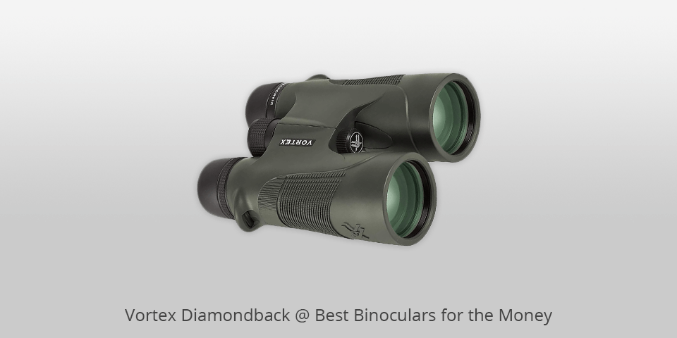 best binoculars for price