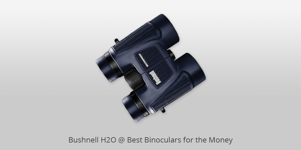 best value binoculars