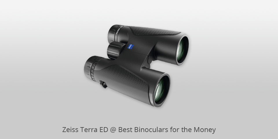 zeiss terra ed binocular review