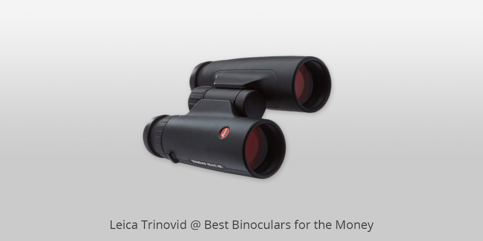 best binocular for the money