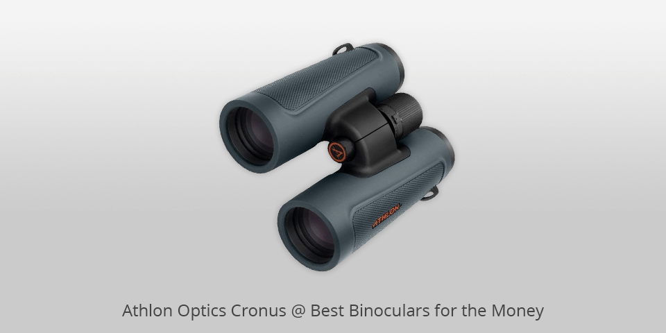 best 10x42 binoculars for the money
