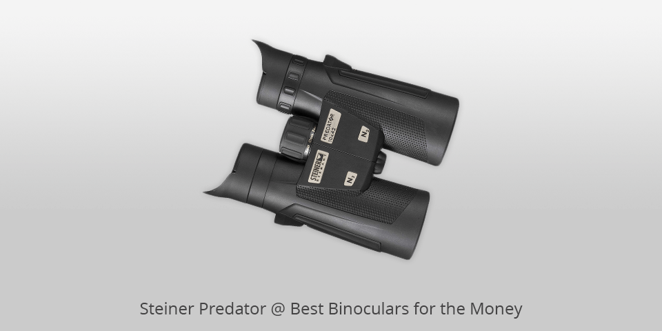 best binoculars for the money