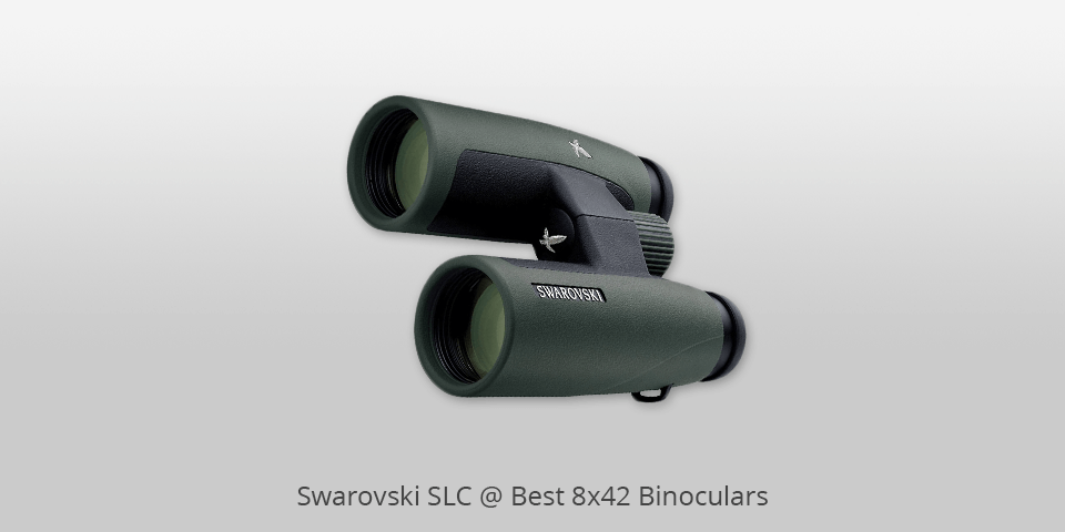 8x42 binoculars swarovski