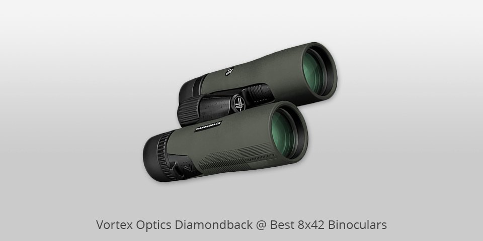8x42 binoculars vortex