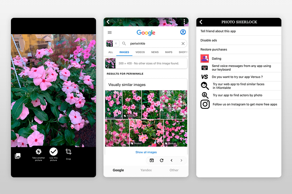 foto sherlock reverse image search app interfaz
