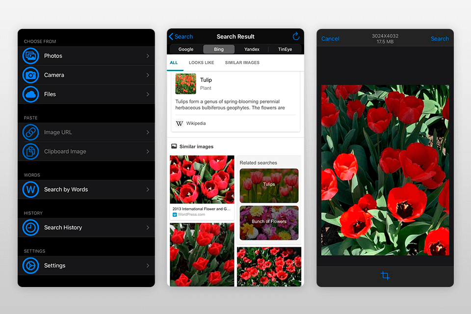 interfaz reverse image search app