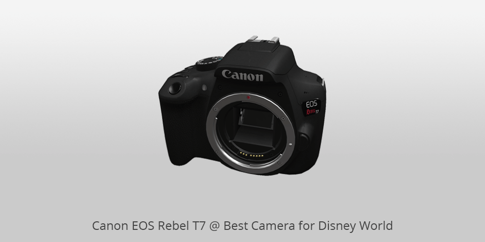 disney world camera canon eos rebel t7