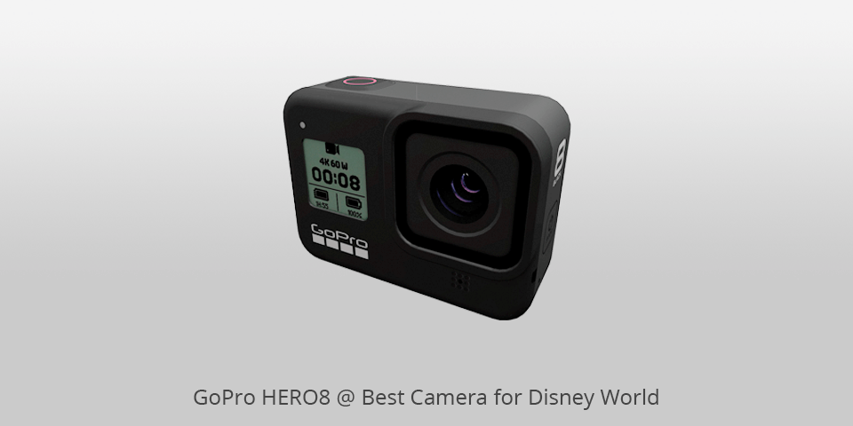 disney world camera gopro hero8