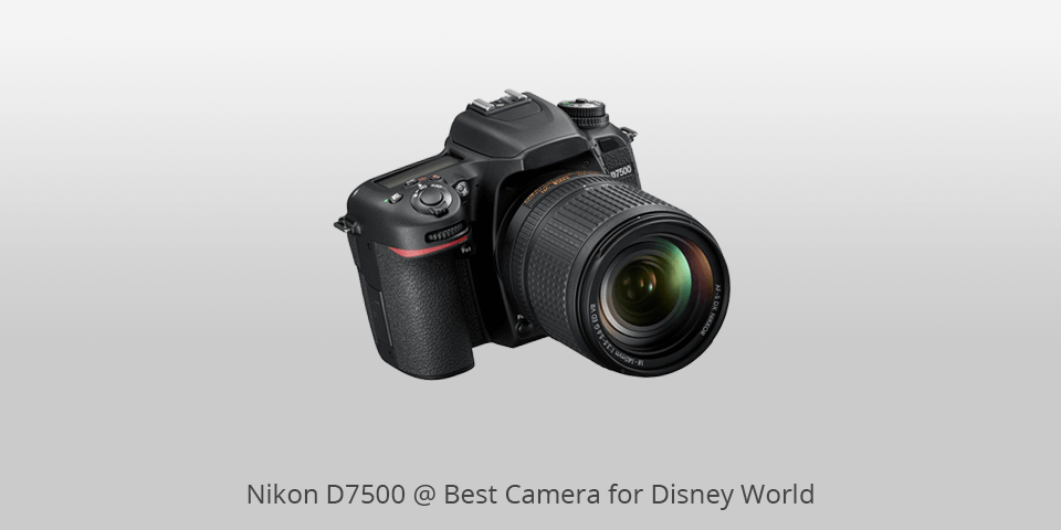 disney world camera nikon d7500