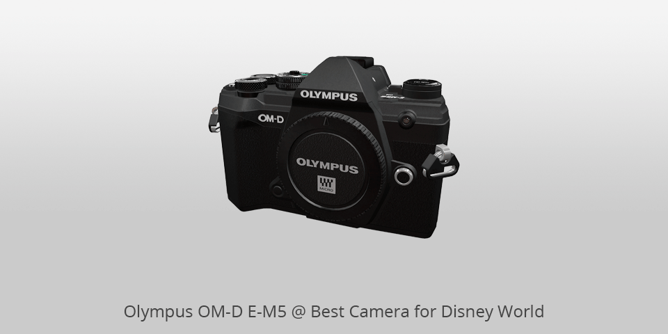 disney world camera olympus om-d e-m5