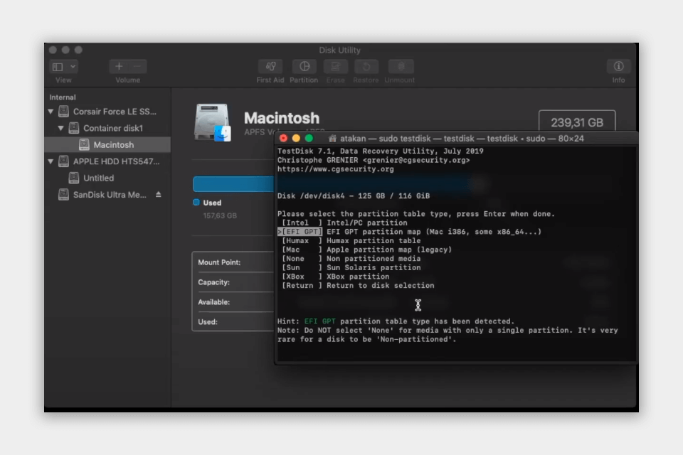 testdisk interface