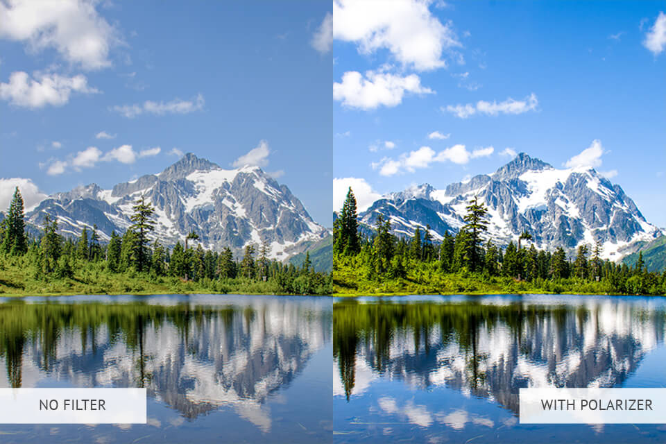 forest photography with polarizers