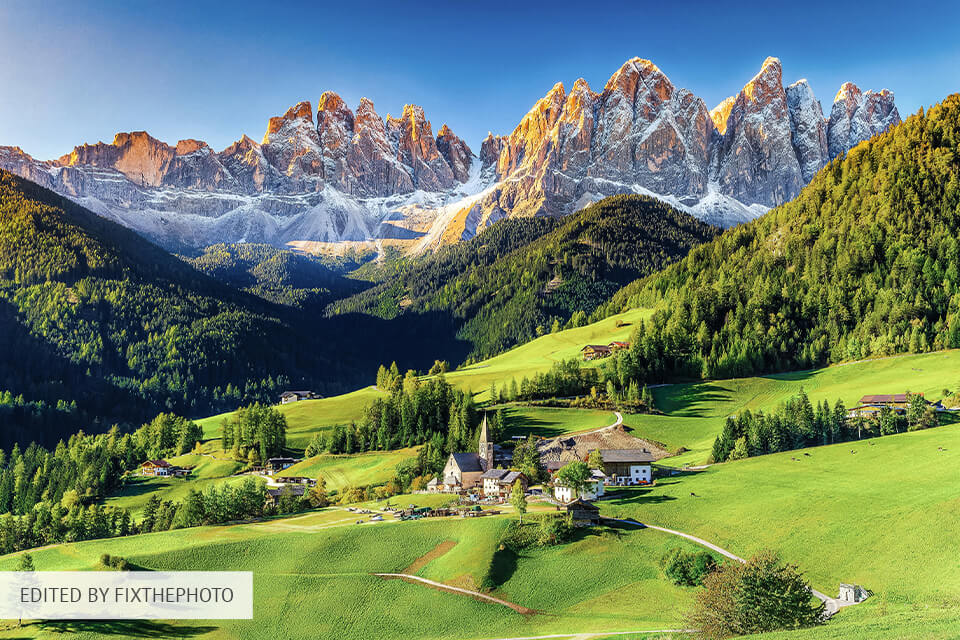 forest photography editing sample before and after