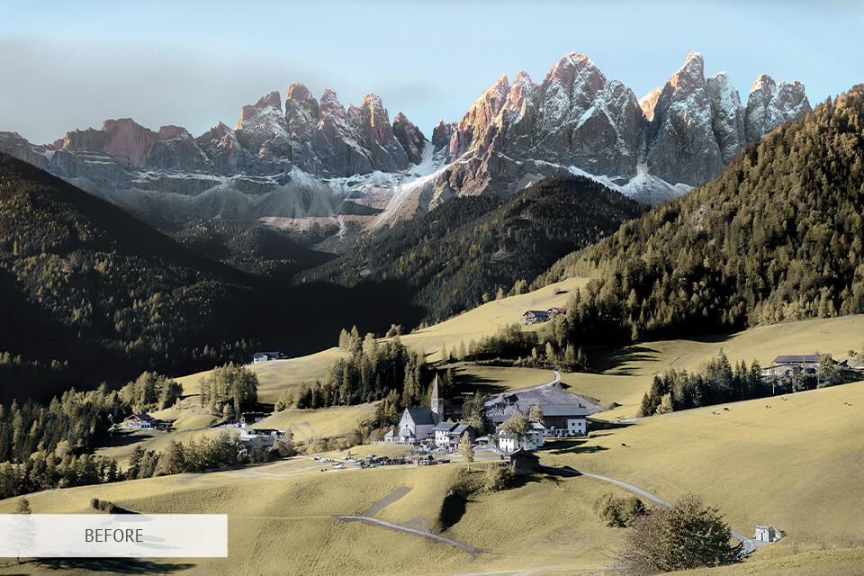 forest photography editing sample before and after