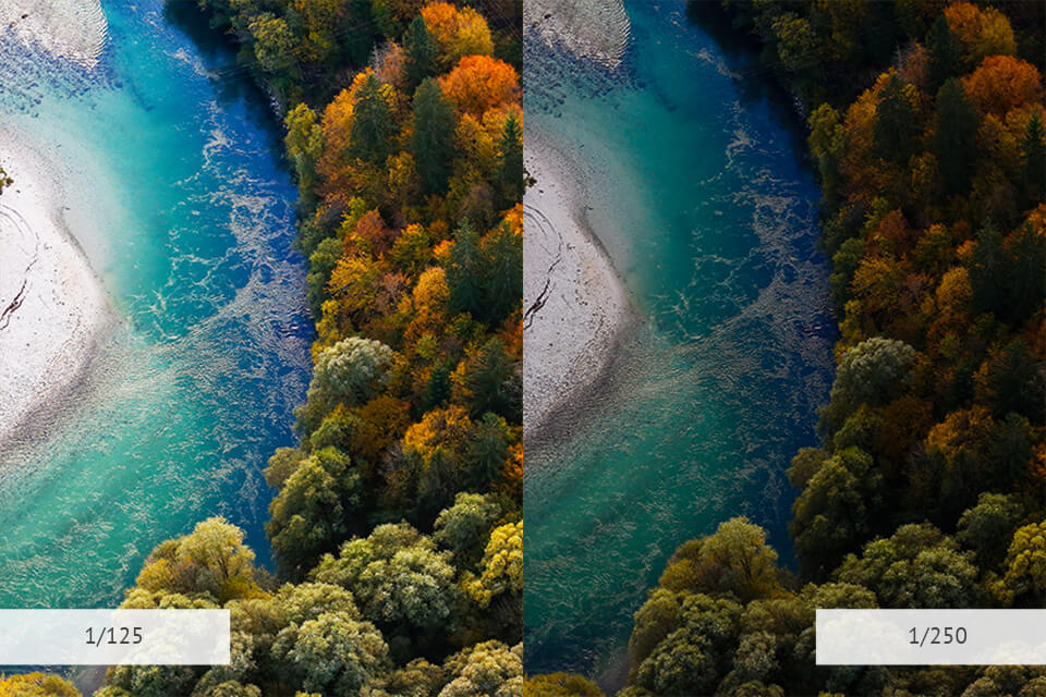 forest photography shutter speed settings