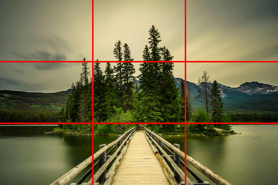grid lines on the forest pictures