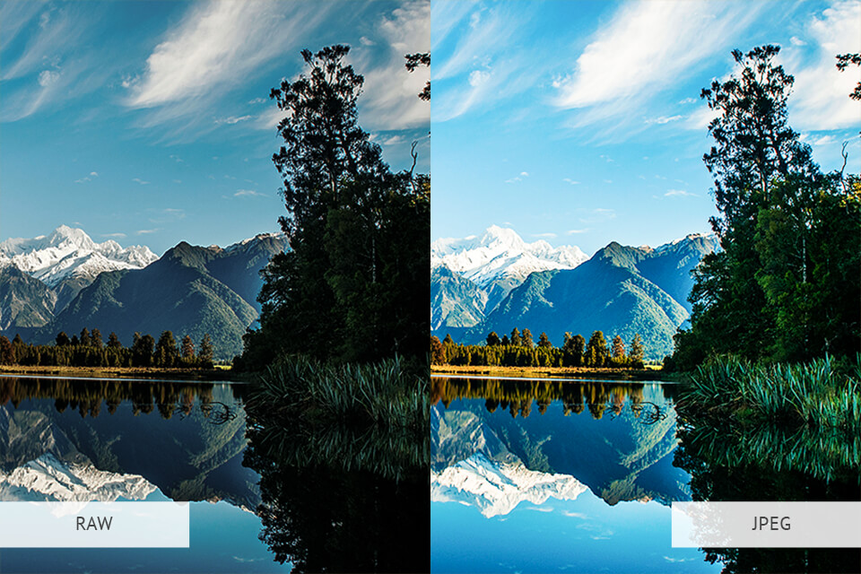 raw format in forest photography