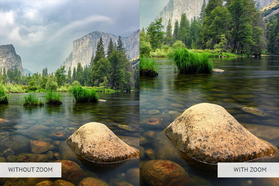 zooming in forest photography