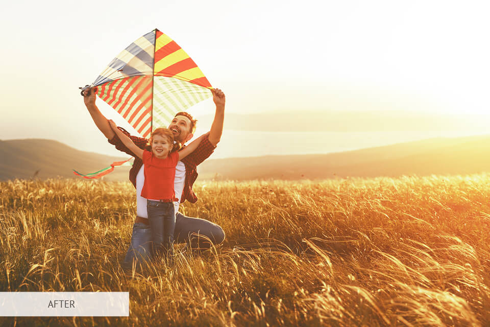 download free cinematic luts