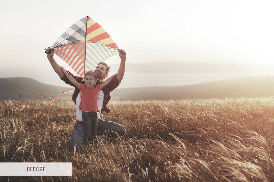 download free cinematic luts