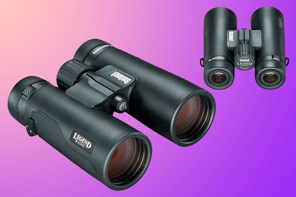 8x42 binoculars
