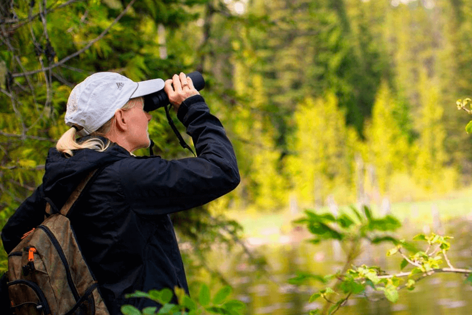 best 10x50 binoculars