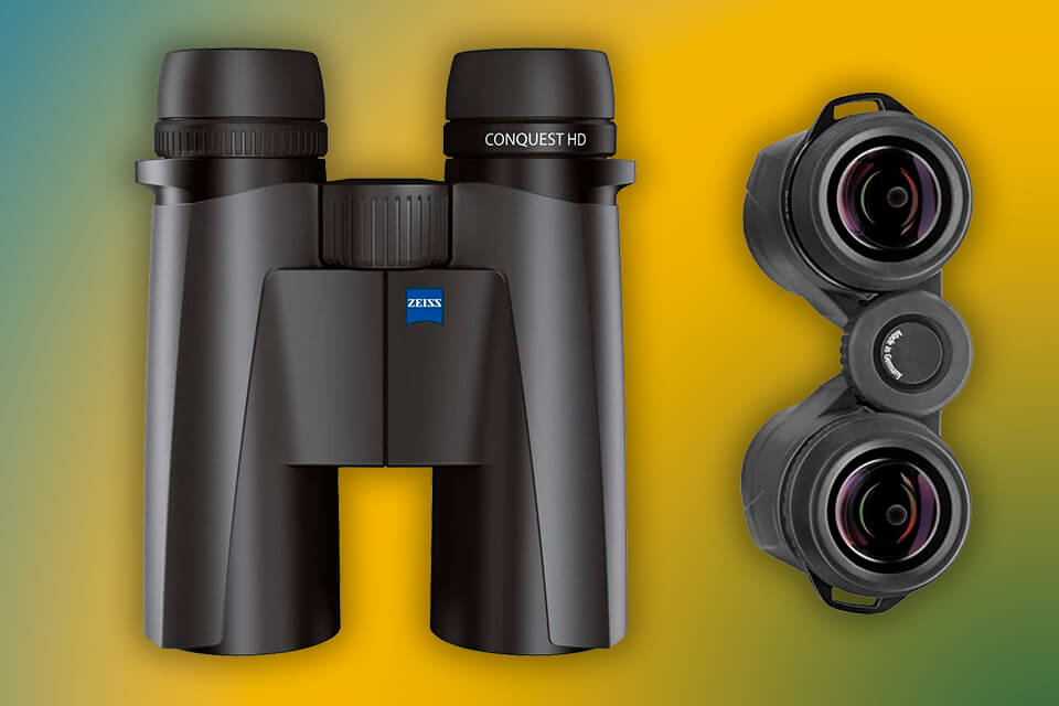 best binoculars for birding