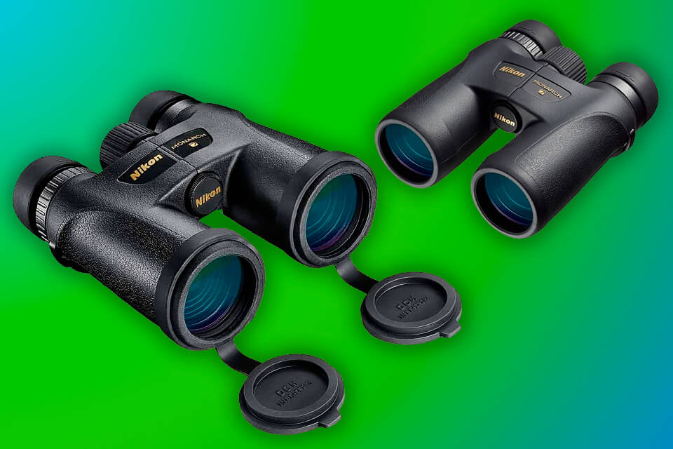 best binoculars for birding