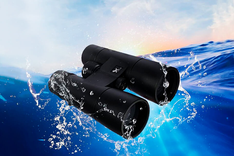 best binoculars for safari