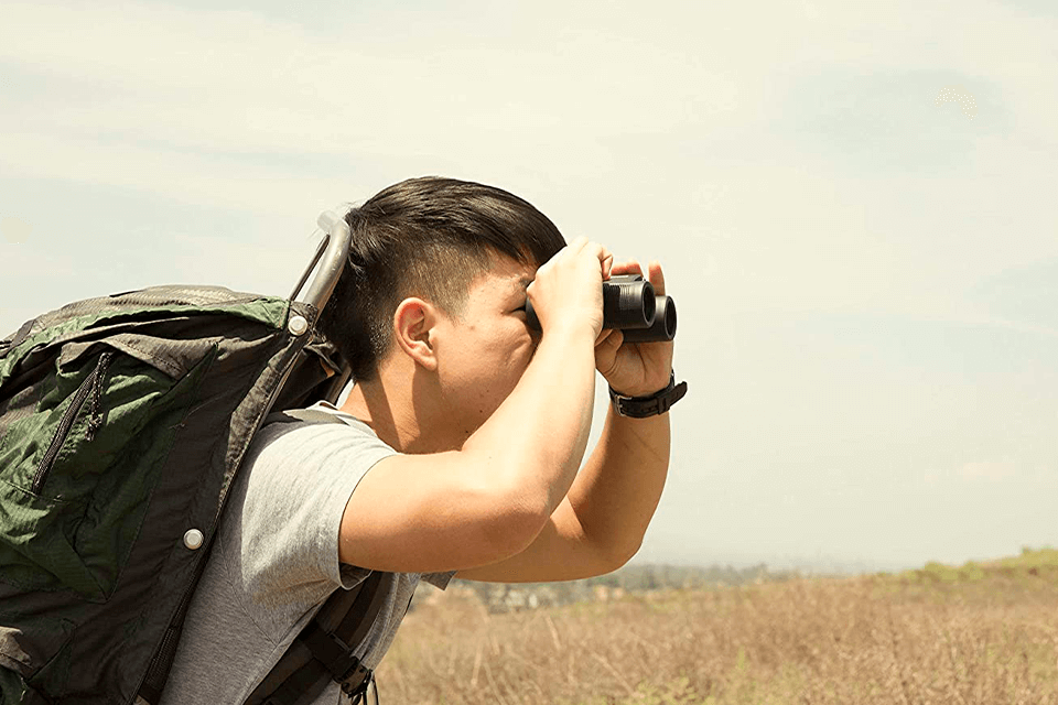 best binoculars under 100
