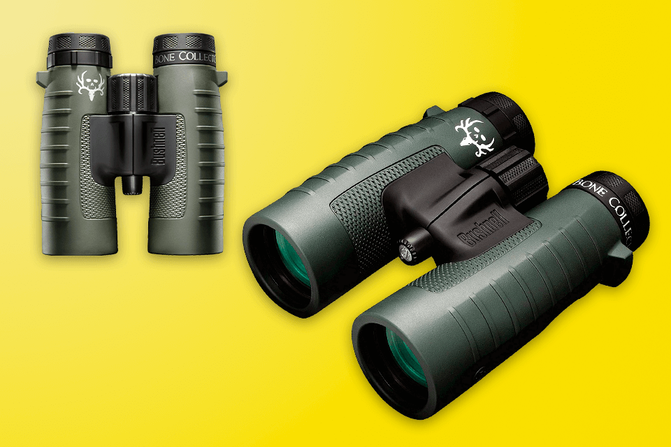 best binoculars under 100