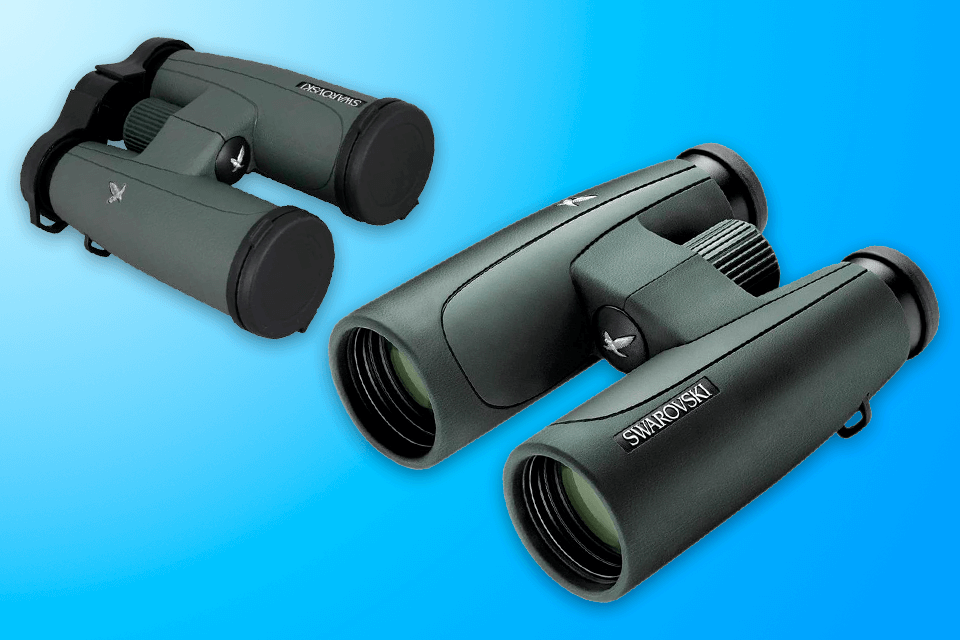 best low light binoculars