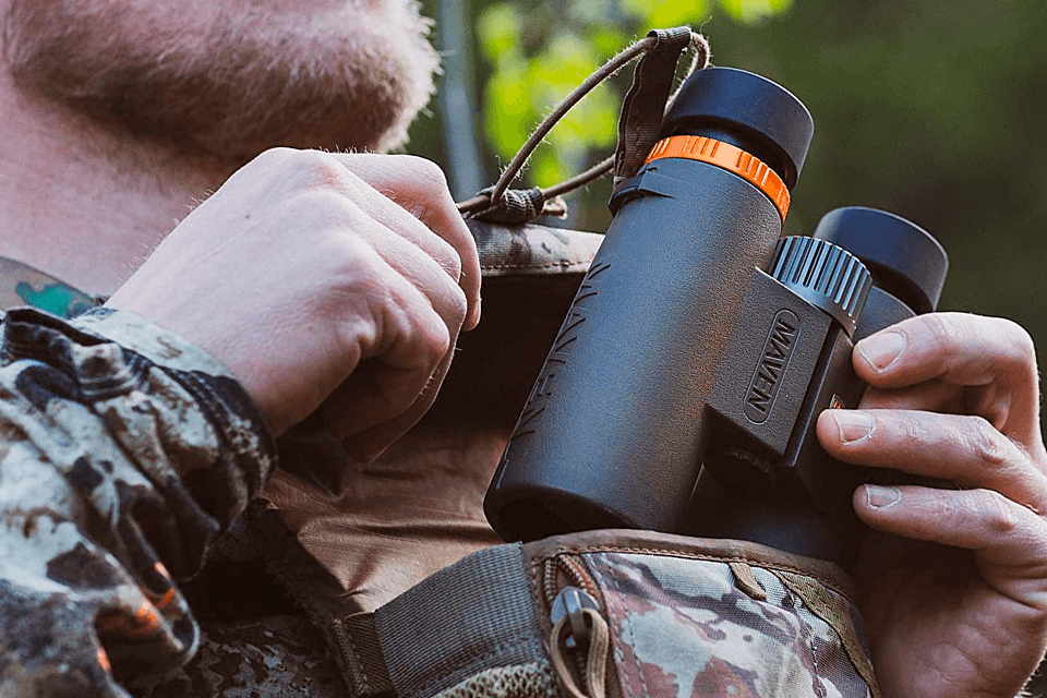 best binoculars under $300