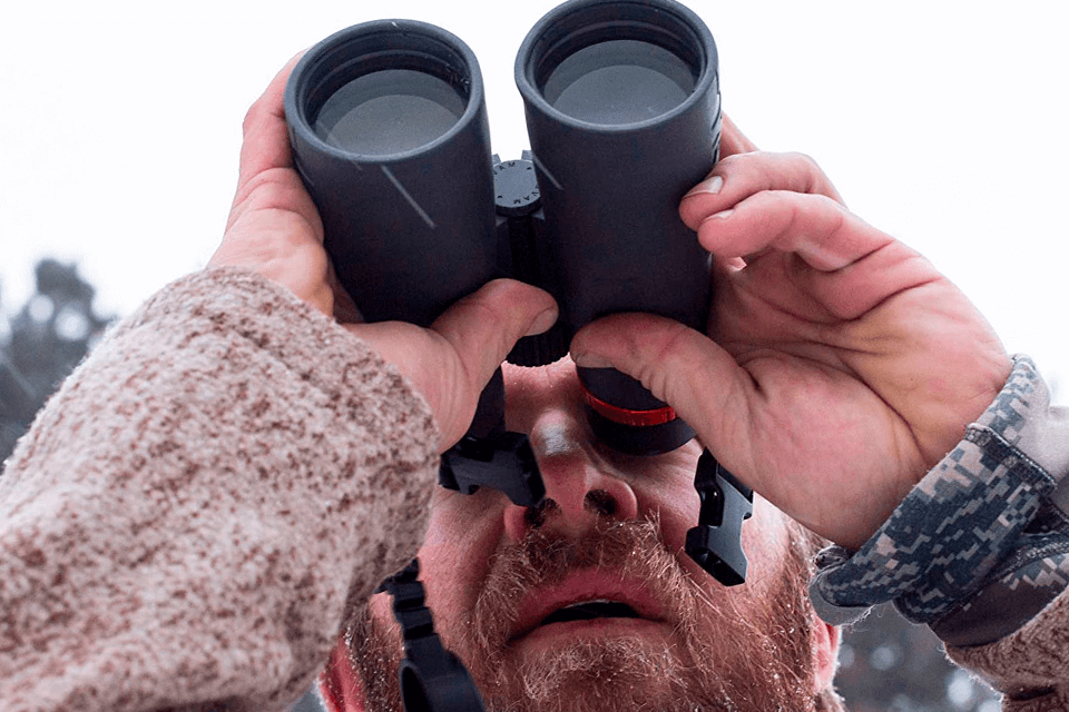 best 10x50 binoculars