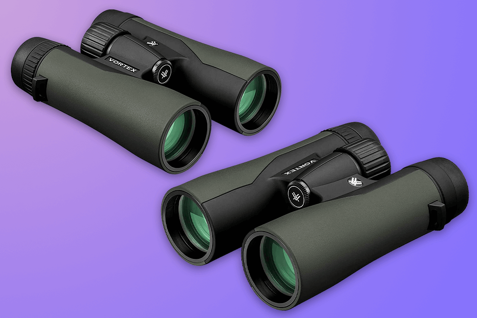 best vortex binoculars for the money