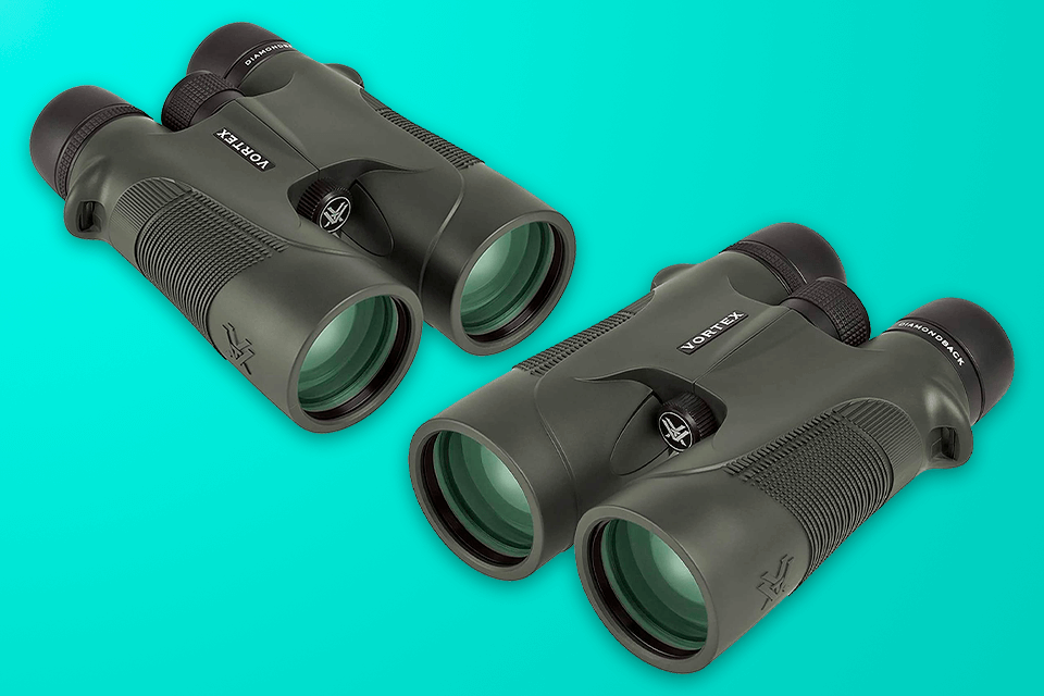 best vortex binoculars for the money