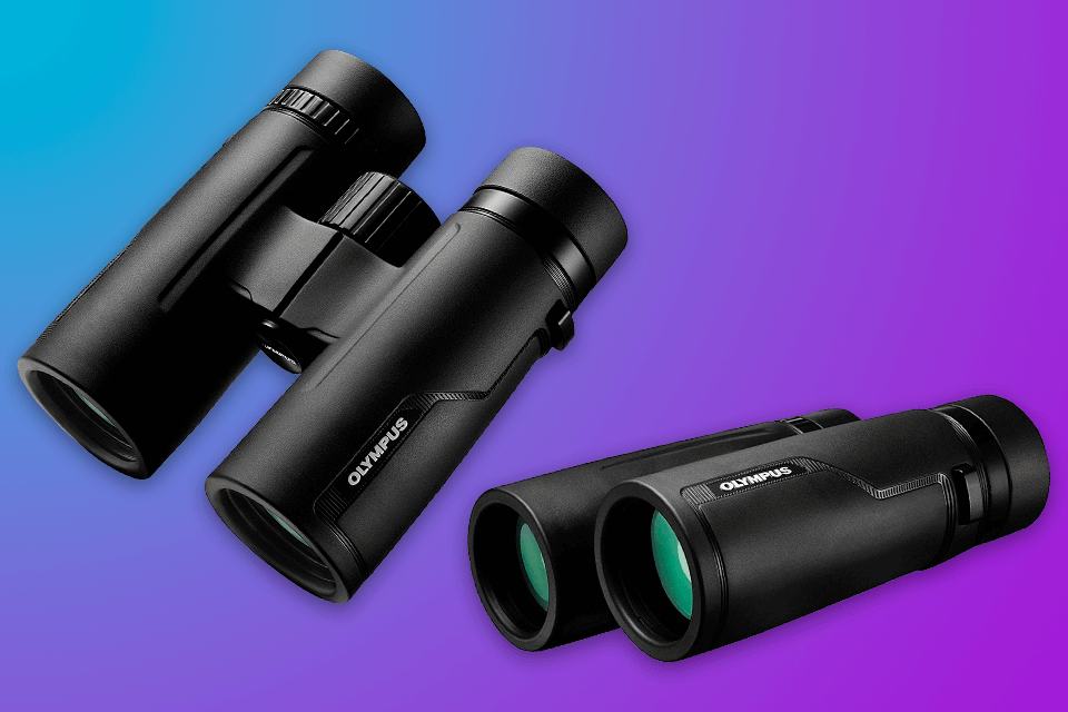 best binoculars for whale watching