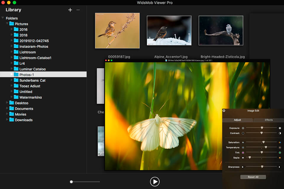 magix photo manager beste kostenlose benutzeroberfläche für die organisation von fotos