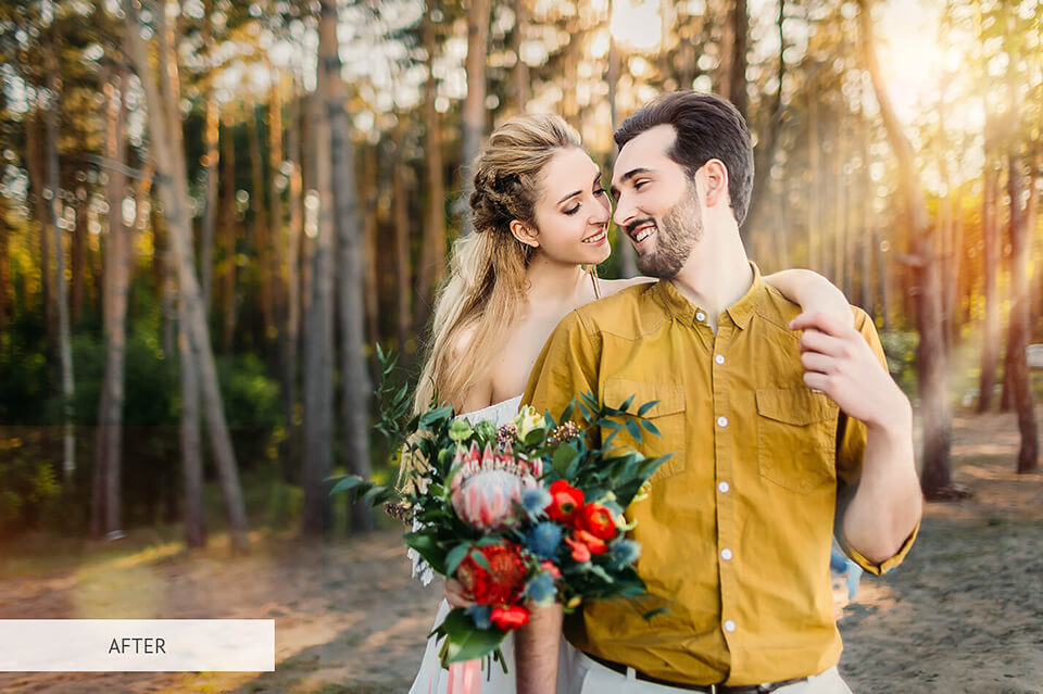 free photoshop overlay plum for prism photography