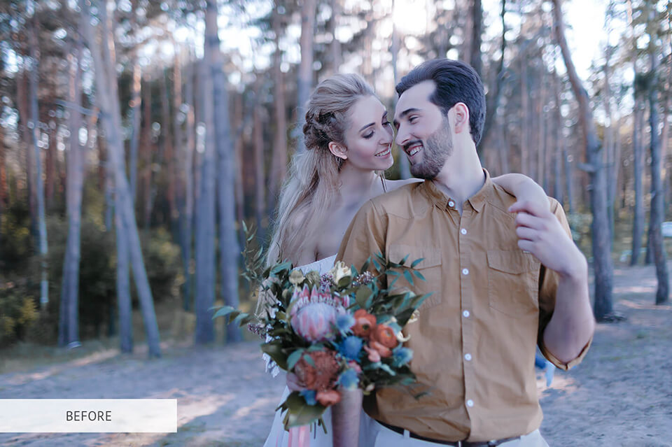 free photoshop overlay plum for prism photography