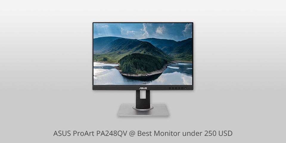 asus proart pa248qv monitor under 250