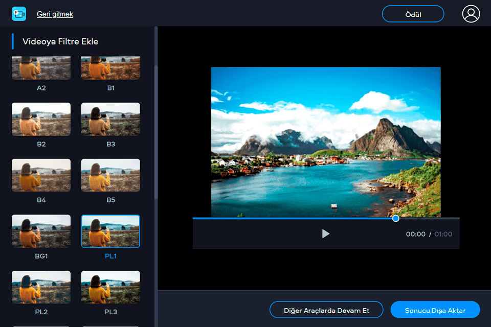 filtreler fastreel çevrimiçi video düzenleyici