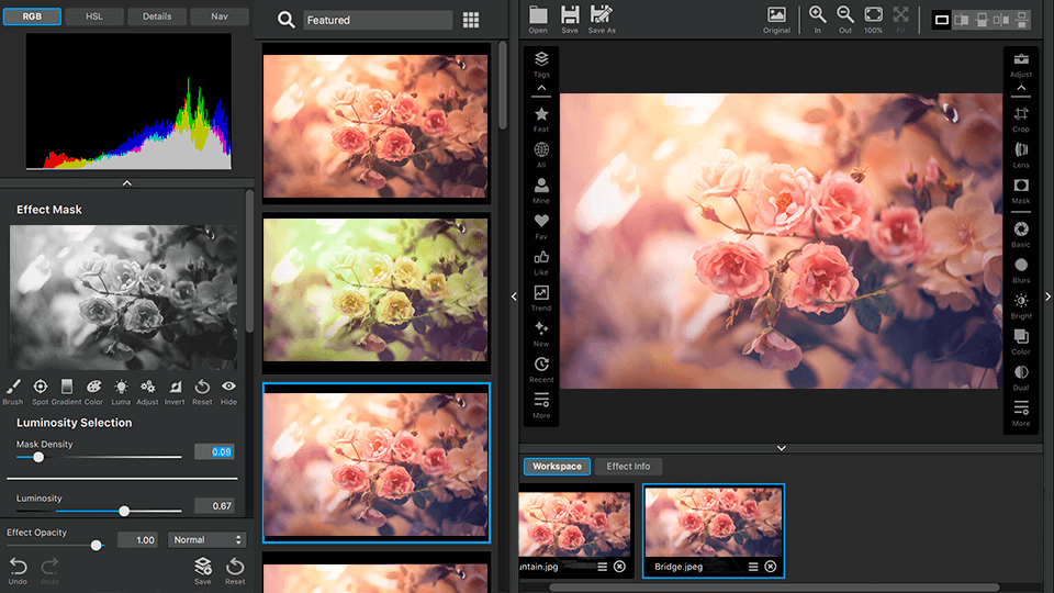 topaz studio interface