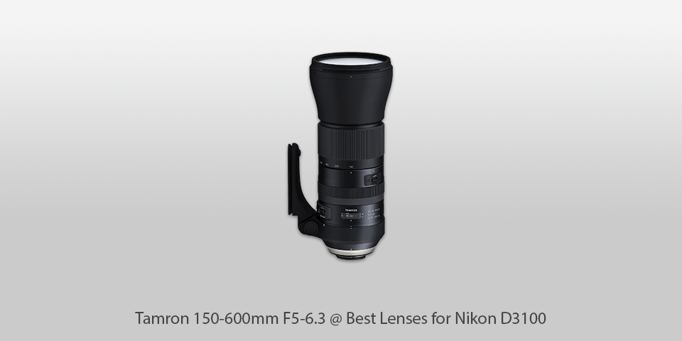 nikon d3100 compatible lenses