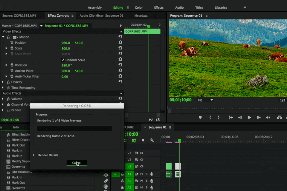 adobe premiere pro video optimizer interface