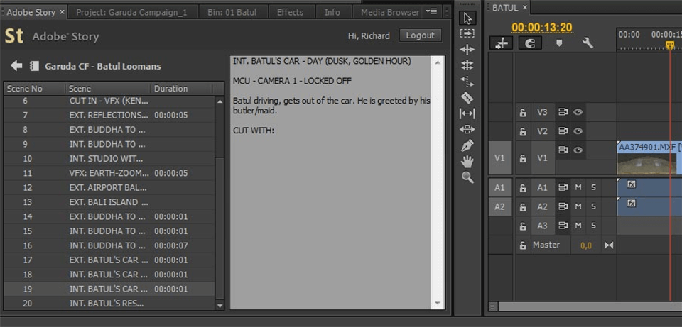adobe story exporting