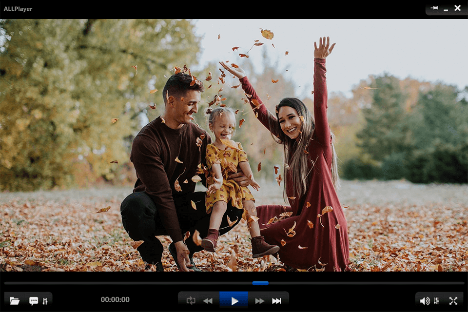 allplayer dvd player for windows 10