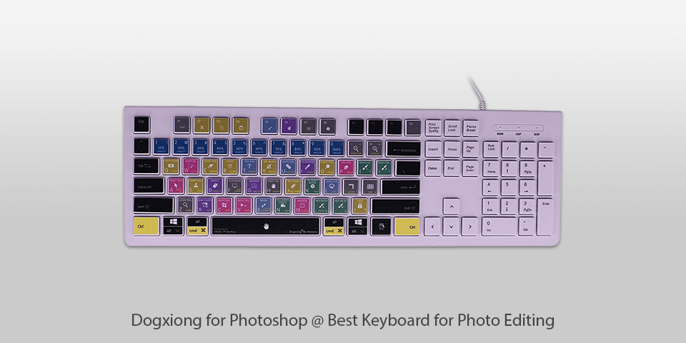 keyboard for photo editing dogxiong for photoshop